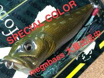 【SPECIAL COLOR】Megabass ルアー メガバス POPX MUDDY GORY（検:POP-X、希少、ポップX、POPMAX、SP-C、限定、入手困難）※同梱可能_画像1