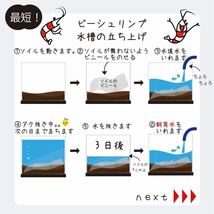 【送料無料】ブラックウオーター+バクテリア1000ccセット販売 送料無料 エビ金魚熱帯魚の水槽立ち上げに_画像2