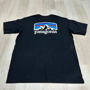 パタゴニア patagonia シャツ 半袖