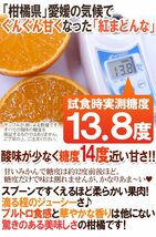 （予約）限定1箱！愛媛産【紅まどんな】8～10玉前後 1.5kg 化粧箱！！！！_画像6