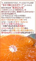 （予約）限定1箱！愛媛産【紅まどんな】8～10玉前後 1.5kg 化粧箱！！！！_画像3