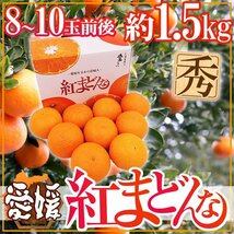 （予約）限定1箱！愛媛産【紅まどんな】8～10玉前後 1.5kg 化粧箱！！！！_画像10