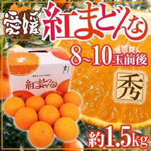 （予約）限定1箱！愛媛産【紅まどんな】8～10玉前後 1.5kg 化粧箱！！！！_画像1