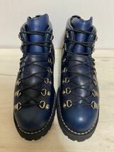 希少限定品★使用僅か美品★US9.5EE(27.5〜28.0)ダナー DANNER ブーツ MOUNTAIN LIGHT H マウンテンライト H INK 31525 _画像1