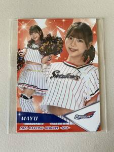 bbm 2023 舞　チアリーダー　ヤクルトスワローズ Passion MAYU #舞56