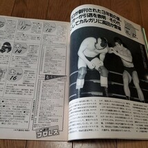 週刊プロレスNo.158/長州vsカーン/ハンセンvs鶴田/天龍vs谷津/越中詩郎/大森ゆかり/藤波vsウイリアムス/全日本女子プロレス/高田伸彦_画像5