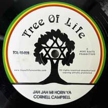 ★試聴！美盤！500枚限定盤！Killer Roots！【Carlton Livingston/Trod On/Cornell Campbell/Jah Jah Mi Horn Ya】10inch Tree Of Life US_画像2