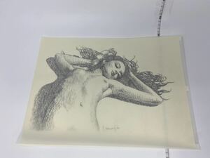 中古　イラストレーター 松原健治 ドローイング 原画　女性　※②