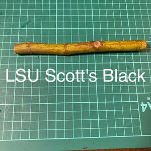 LSU Scott's Black穂木　イチジク穂木　いちじく穂木