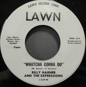 【SOUL 45】BILLY HARNER & THE EXPRESSIONS - WHATCHA GONNA DO / ANYMORE (s231104025) 