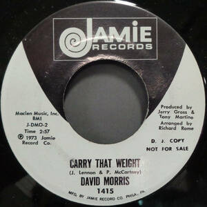 【SOUL 45】DAVID MORRIS - COME WATCH MY TRAIN GO BY / CARRY THAT WEIGHT (s231102034)