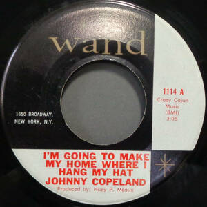 【SOUL 45】JOHNNY COPELAND - I'M GOING TO MAKE MY HOME WHERE I HANG MY HAT / DEDICATED TO THE GREATEST (s231119035) 