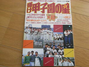 輝け甲子園の星1989年10＋11月号 はまなす国体　高校野球