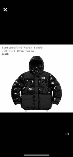 Supreme The North Face 700-Fill Down Parka L シュプリーム ザ ノース フェイス 700 フィル ダウン ジャケット マウンテン 黒 ヌプシ