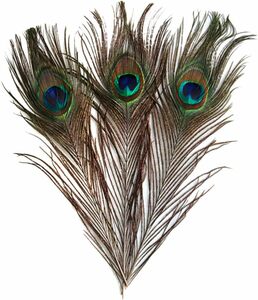 【ノーブランド品】羽根 目玉羽 装飾用の羽根 孔雀の羽 23-33cm 10本