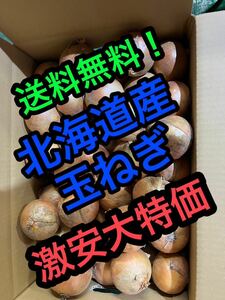 北海道産訳あり玉ねぎ20キロ送料無料