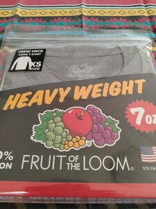 ＊新品 FRUIT OF THE LOOMフルーツ・オブ・ザ・ルーム/クルーネックロングTシャツ サイズXS グレー ギャレット 正規取扱店