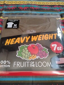 ＊新品 FRUIT OF THE LOOMフルーツ・オブ・ザ・ルーム/クルーネックTシャツ Mサイズ カーキー ギャレット正規取扱店