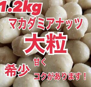 【大粒】マカダミアナッツ　1.2kg 素焼き　無塩　無添加　ナッツ　非常食