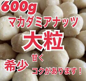 大粒　マカダミアナッツ　600g 素焼き　無塩　健康　美容　　ナッツ　非常食