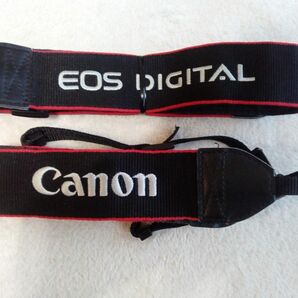 Canon EOS DIGITAL　ストラップ 2本