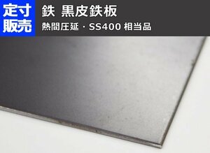 鉄 黒皮熱間圧延鋼板(1.6～9.0mm厚)の(914ｘ600～100ｘ100mm)定寸・枚数販売 F11