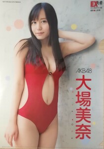 大場美奈（Ｂ５）クリアファイル 同梱可