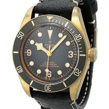 チュードル TUDOR ヘリテージ ブラックベイ ブロンズ 79250BA スレートグレー文字盤 メンズ腕時計 自動巻き 43mm 男性 紳士_画像1