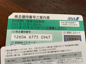  【未使用品/期限注意】 ANA 株主優待券 全日空 搭乗券 1枚 有効期間2023年11月30日まで 航空券 番号・パスワード通知