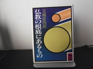 仏教の根底にあるもの（玉城康四郎著）講談社学術文庫 