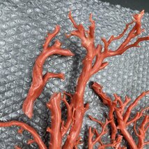 G1117 赤珊瑚の原木 艶出し加工 素材 枝 パーツ 置物 宝石サンゴ 折れ、割れあり　総重量約390g_画像3