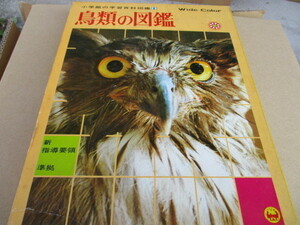  birds. illustrated reference book Shogakukan Inc. study various subjects illustrated reference book 