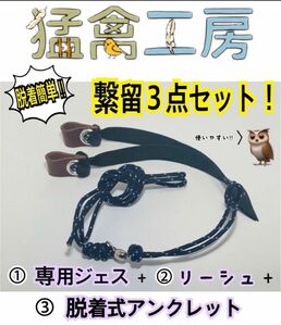 繋留3点セット　脱着式アンクレット　革ジェス　リーシュ　猛禽工房