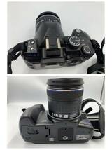 極美品 動作品 OLYMPUS E-520 デジタル一眼レフカメラ OLYMPUS DIGITAL lens 14-42mm 1:3.5-5.6 ED レンズフード付 オリンパスレンズキット_画像7
