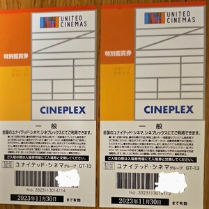 ユナイテッド・シネマ、シネプレックス特別鑑賞券2枚セット 送料無料（普通郵便） 