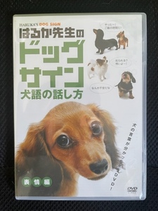 はるか先生のドッグサイン犬語の話し方 表情編 定価3150円 未開封 DVD 送料無料