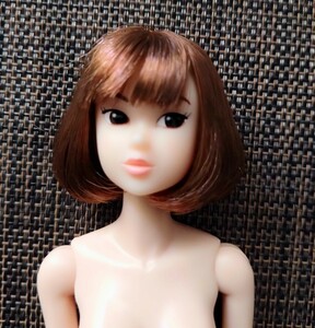 Sekiguchi セキグチ　momokoDOLL【Wake-Up momoko DOLL WUDsp Azone】本体のみ　送料無料