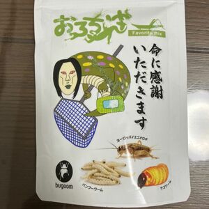 ※昆虫食※おろちんゆーさんとbugoomさんのコラボ商品です