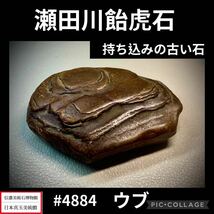 【秋の大感謝祭】水石盆栽 瀬田川飴虎石 持ち込みの古い石 ウブ 横10×高2×奥行6.5(cm) 260g骨董盆石鑑賞石観賞石太湖石 4884_画像1