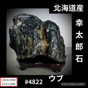 【秋の大感謝祭】水石盆栽 幸太郎石 北海道産 ウブ 横22×高18.5×奥行15(cm) 重量:5.96kg骨董盆石鑑賞石観賞石太湖石 4822