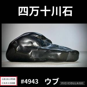 【お客様感謝祭】水石盆栽 四万十川石 ウブ 横18.5×高7.5×奥行7.5(cm) 1kg 骨董盆石鑑賞石観賞石太湖石 4943