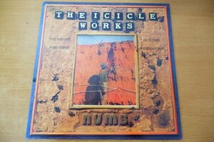 G2-317＜12inch/UK盤/美品＞The Icicle Works / Numb