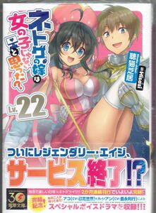 ※未開封品 ※即決あり 電撃文庫【 ネトゲの嫁は女の子じゃないと思った? Lv.22 】 聴猫芝居 Hisasi 定価814円 2023年11月10日発売