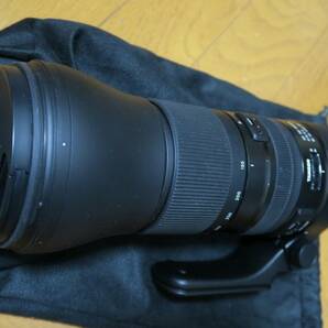 ★国内送料込★タムロン SP 150-600mm F/5-6.3 Di VC USD G2 （A022） ニコンFマウント用の画像1