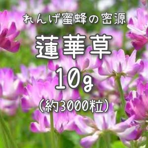 【蓮華草のタネ】10g 種子 種 レンゲソウ れんげ草 レンゲ草 緑肥 花