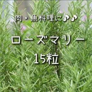 【ローズマリーのタネ】15粒 種子 種 ハーブ