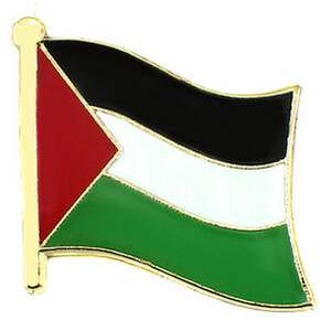ピンバッジ◆パレスチナ自治政府の旗 デラックス薄型キャッチ付き 国旗 ピンズ PALESTINE FLAG ピンバッチ タイタック