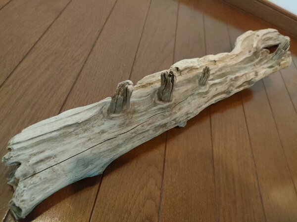 ☆天然流木 水槽 1点物 アクアリウム オブジェ アート 82×12×8cm 大和川 爬虫類 とかげ ヘビ インテリア 魚 めだか 隠れ家