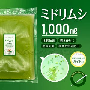 【ミドリムシ　種水　1000ml　送料無料】 めだか　メダカ　針子　エサ 稚魚 ベタ　psb　 金魚　ミジンコ　クロレラ　ゾウリムシ などに