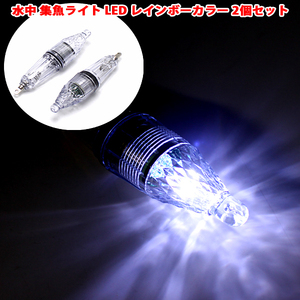 1円～ 集魚灯 2個セット 12cm 水中LED ライト 高輝度 レインボー 水中灯 水中ライト 夜釣り イカ アジ タチウオ イワシ 仕掛け 夜焚き